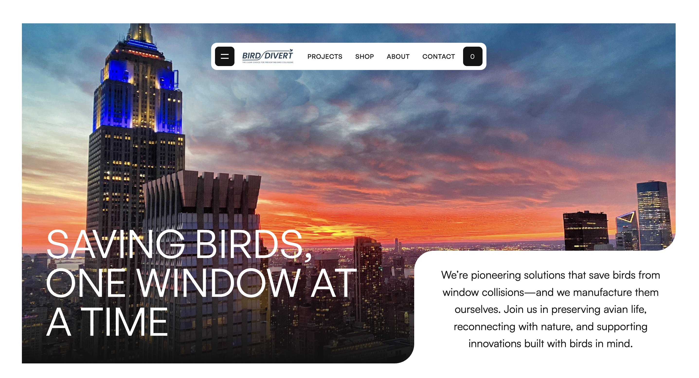 Preview of Bird Divert